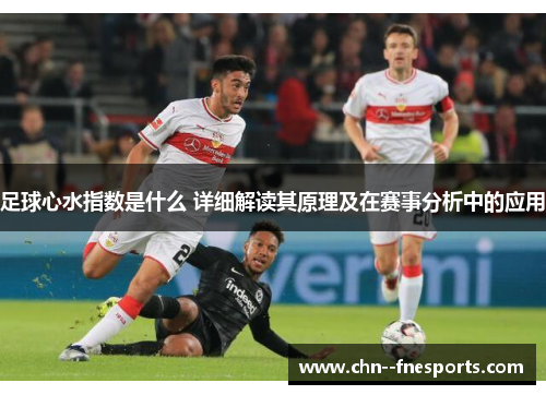 足球心水指数是什么 详细解读其原理及在赛事分析中的应用 足球心水指数是什么 详细解读其原理及在赛事分析中的应用