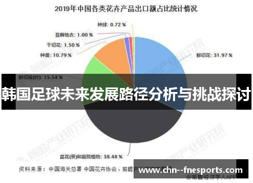 韩国足球未来发展路径分析与挑战探讨